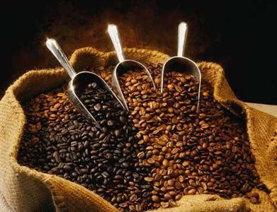 Mocha Limu Grade 2 Organic